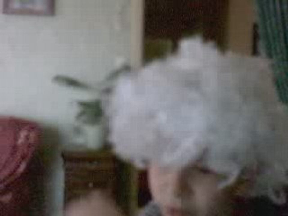 la coiffure