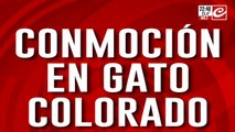 Conmocion en gato colorado: habla la mamá del nene violado por sus compaleros