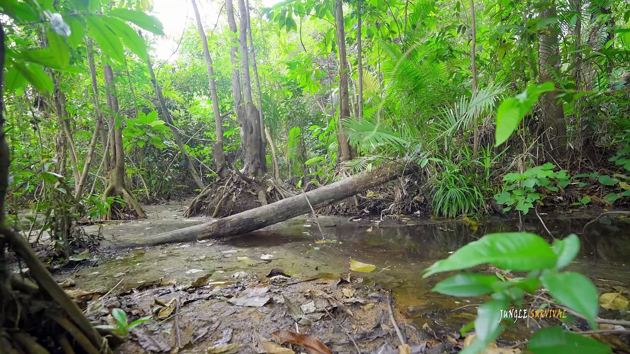 Solo Bushcrafts Camping Build Warm Underground Tunnel Shelter, Catch n Cook, Jungle Survival Skills