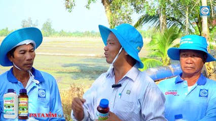 CHIA SẺ BÍ KÍP QUẢN LÝ CỎ TIỀN NẢY MẦM VÀ HẬU NẢY MẦM SỚM BẰNG SẢN PHẨM BÉ BỤ 30SE và PATAXIM 55EC