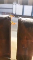 ,💔#short video beautiful voice 💞💞😍😍