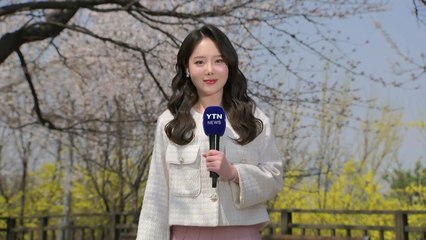 [날씨] 따뜻한 날씨에 봄꽃 '활짝'...일교차·미세먼지 유의 / YTN