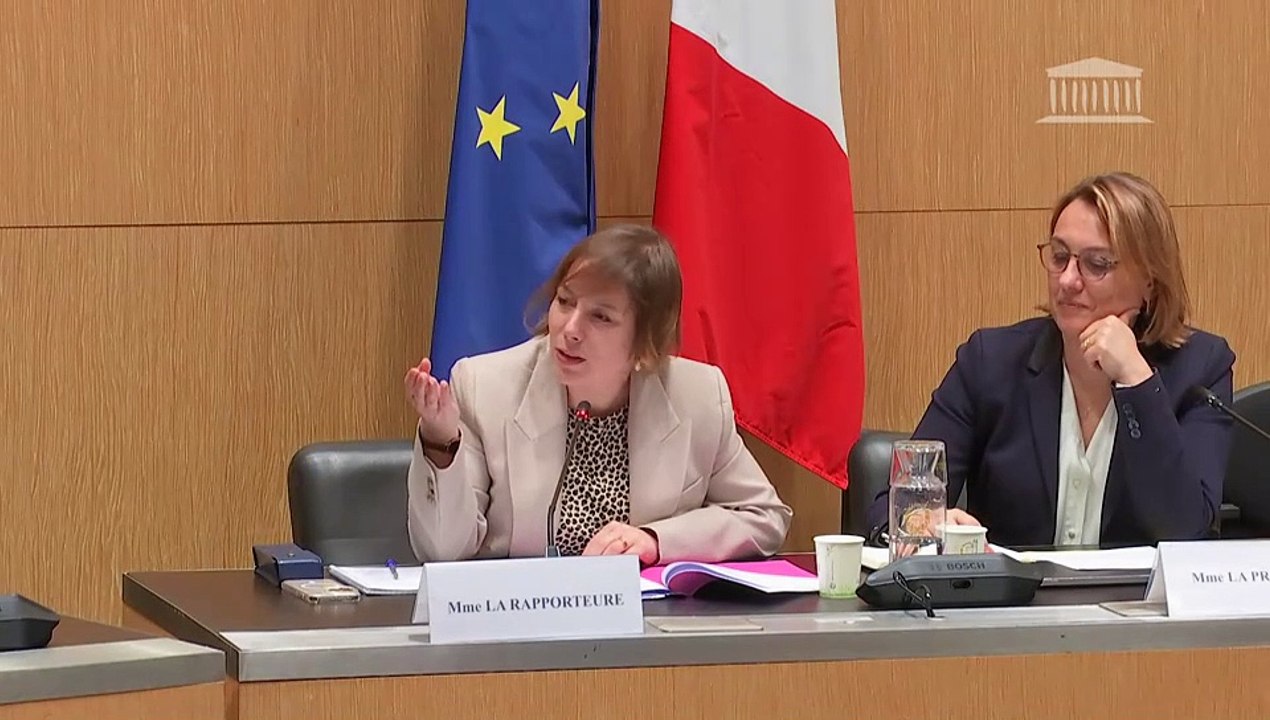 Délégation aux droits des femmes : Table ronde sur les nouveaux enjeux de la maternité et de la paternité - Mercredi 2 avril 2025