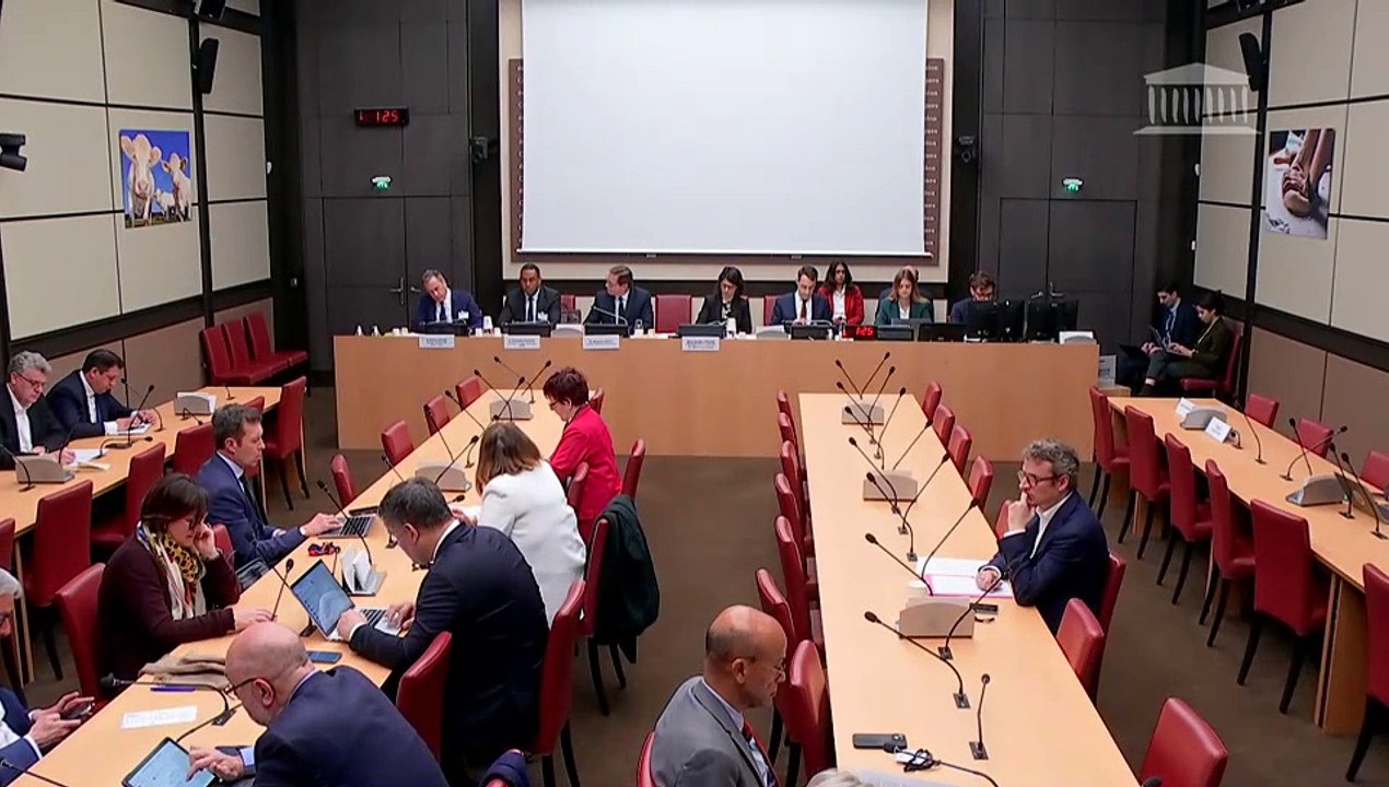 Commission des affaires économiques : M. Stéphane Hayot, directeur général du groupe Hayot - Mercredi 2 avril 2025