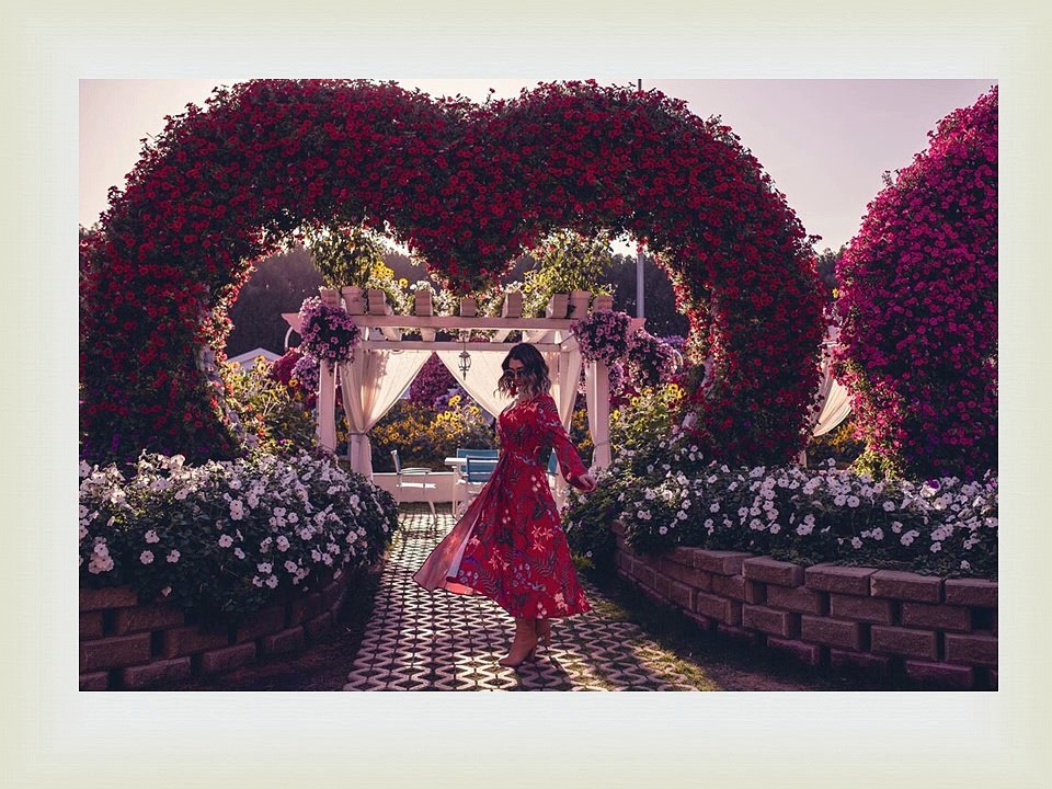 Yevette Heiser: Exploring Her Artistic Journey from Culinary Delights to Wedding Wonders