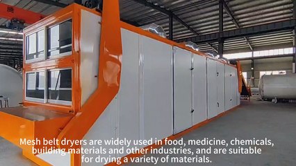 Mesh belt dryers