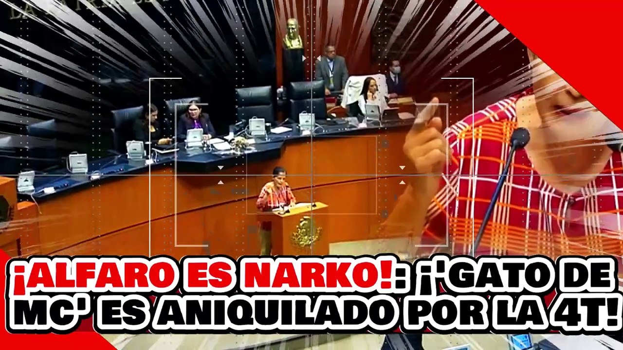 ¡ALFARO ES NARKO! ¡’GATETE de PEDANTE DELGADO’ es ANIQUILADO por la SENADORA NAKAMURA!