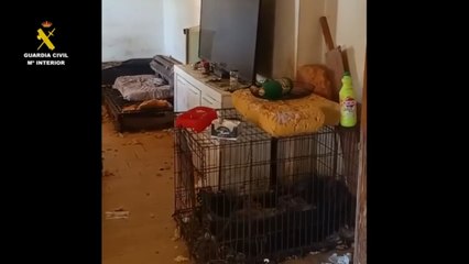 Albergue de animales clandestino en Illescas