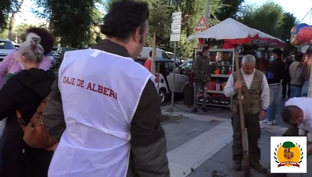 Daje de alberi: i volontari che piantano e curano gli alberi di Roma