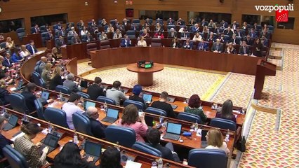 Ayuso responde al PSOE: "La que han liado esta semana"