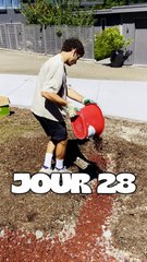 JOUR 28 : J'ai trouvé le paradis