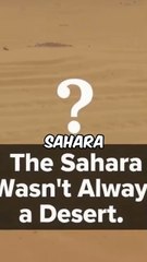 The Sahara Wasn't Always a Desert