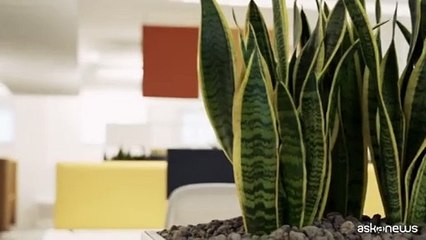 Allianz Trade inaugura i rinnovati uffici a Roma