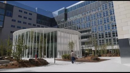 BiM inaugura i nuovi spazi di viale Pirelli con due mostre d'arte