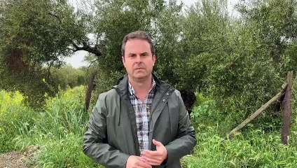 Juan Luis Ávila, responsable de olivar de COAG, sobre los nuevos aranceles