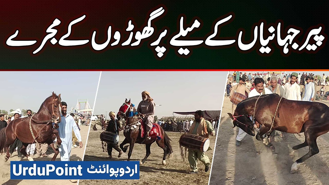 Horse Dance Competition - Swaying & Frolicking - Horses Created A Spectacle At The Pir Jahanian Fair