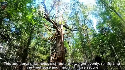 This Man Built A One-Of-A-Kind Treehouse – You Won’t Believe Your Eyes!
