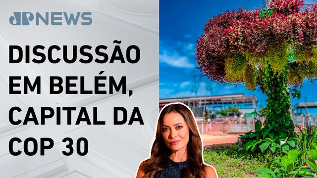 Árvores artificiais geram debate sobre sustentabilidade; Patrícia Costa comenta