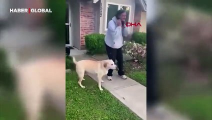 9 ay uzayda mahsur kalmıştı: Köpekleriyle buluştu