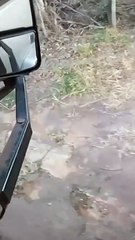 Motociclista morre em acidente na PR-485 entre Pérola e Cafezal do Sul