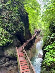 Qingcheng Mountain, Chengdu, China / Montagne Qingcheng, Chengdu, Chine