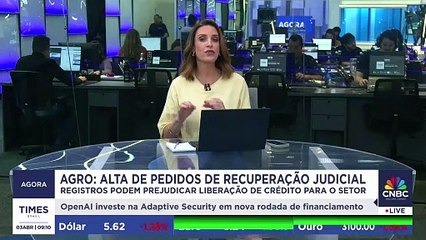 Recuperação judicial no agro dispara e pode afetar crédito; especialista comenta