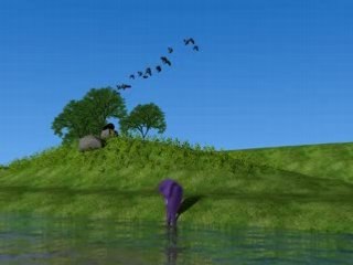 Flock of Birds. Lightwave