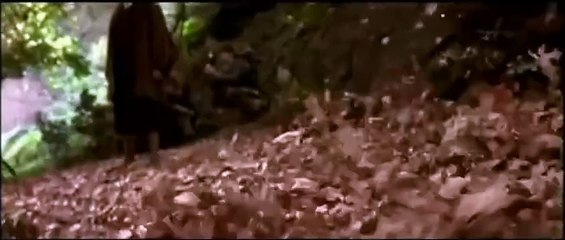 Le seigneur des anneaux : la communauté de l'anneau (2001) - Bande annonce