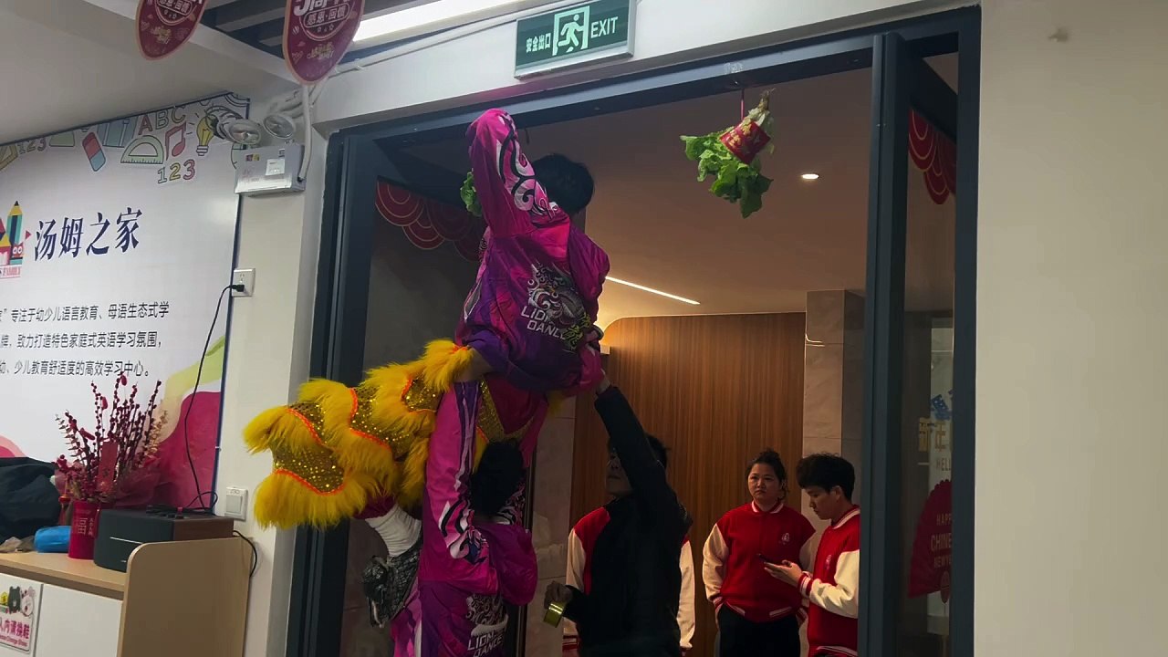 Dragon festival