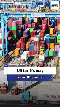 Ex-UK diplomat: US tariffs hurt UK economy