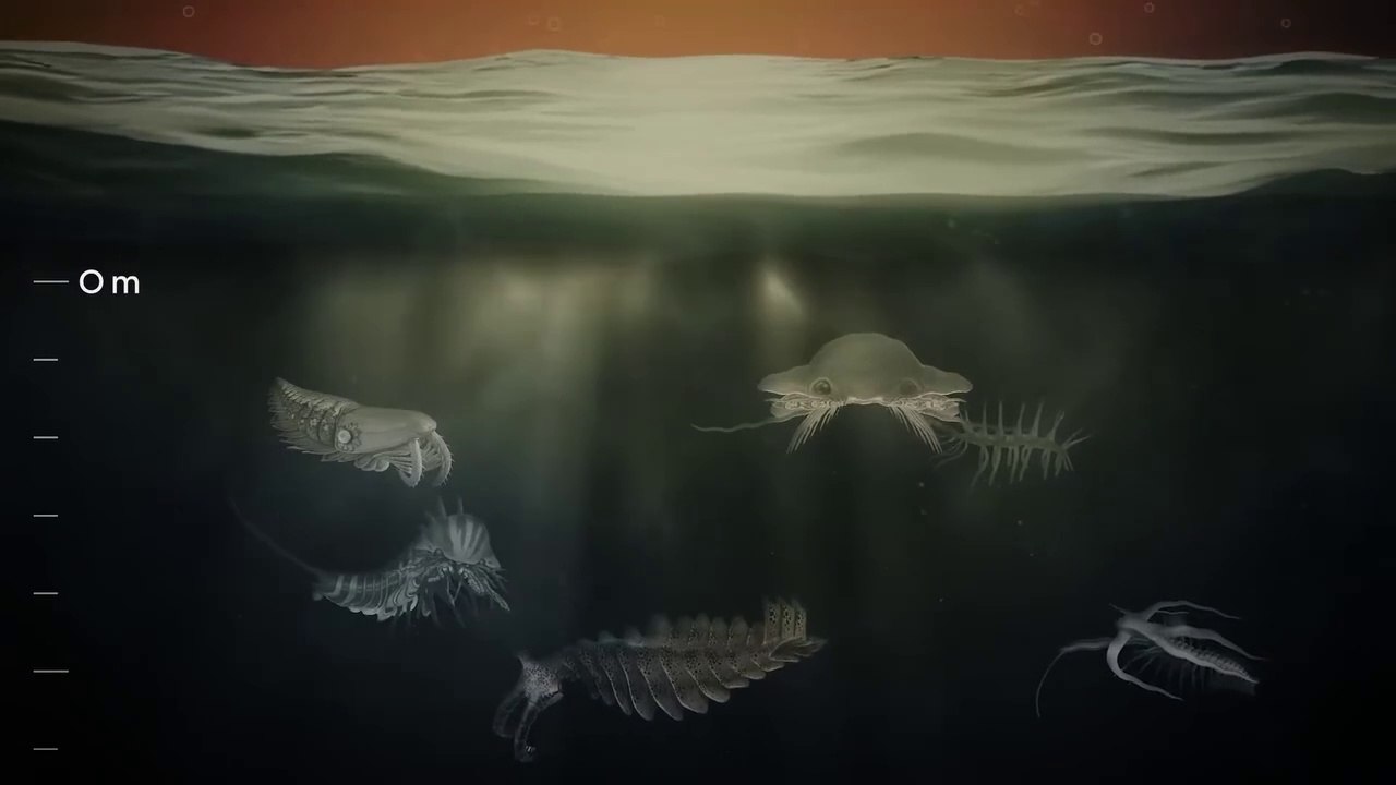 Is Deep sea is in Danger ?