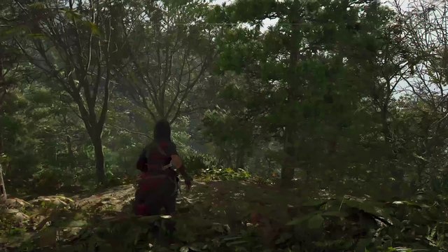 Assassin's Creed Shadows - Deslizamiento