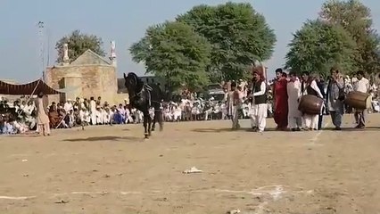 Bob Evans ga good to be a gangsta you can get the