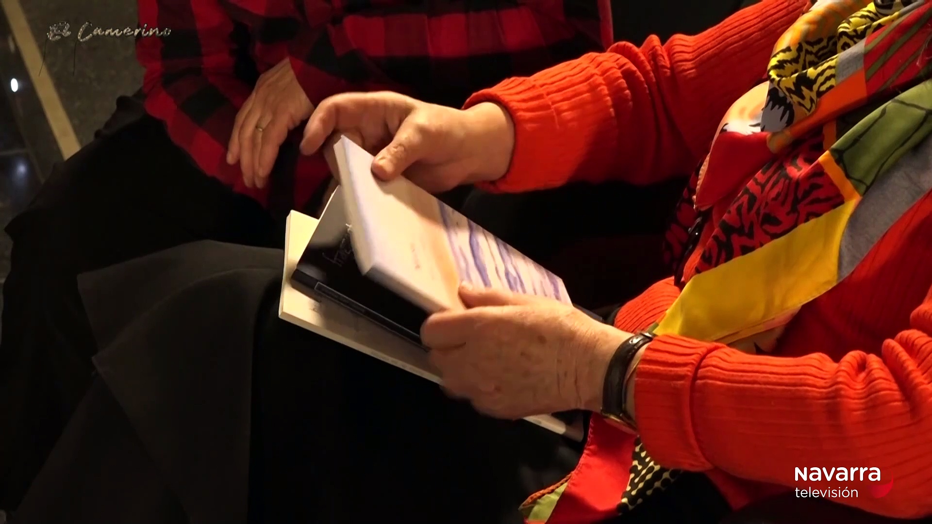 Marina Aoiz, la escritora y poeta tafallesa estrena 'Maresía'