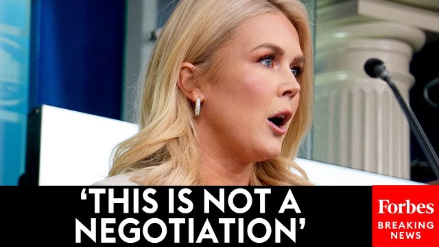 Karoline Leavitt Defends Trump Tariffs Amidst Plummeting Stock Market