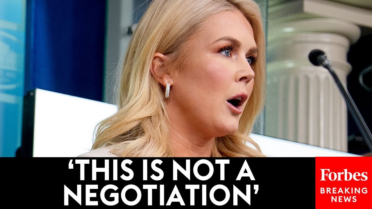 Karoline Leavitt Defends Trump Tariffs Amidst Plummeting Stock Market