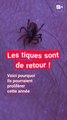 Retour de la saison des tiques : voilà pourquoi les morsures pourraient être plus nombreuses cette année