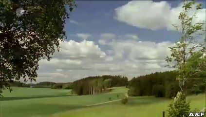 Inga Lindström -035- Millionäre küsst man nicht