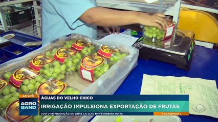 Irrigação impulsiona exportação de frutas