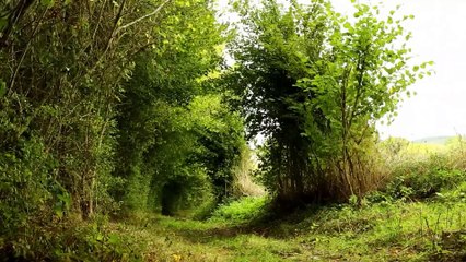 Rascals!   Minuscule     🍃 EP 6 🎬✨❤️ ⏰