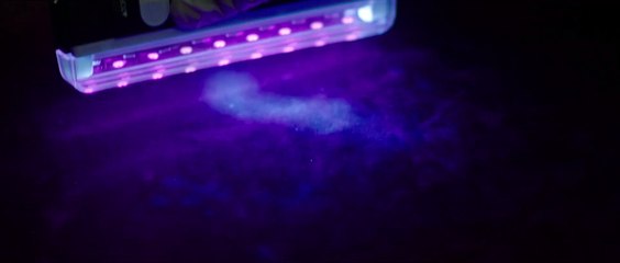 Nocturnal (2025) - Tráiler en Español 🎬