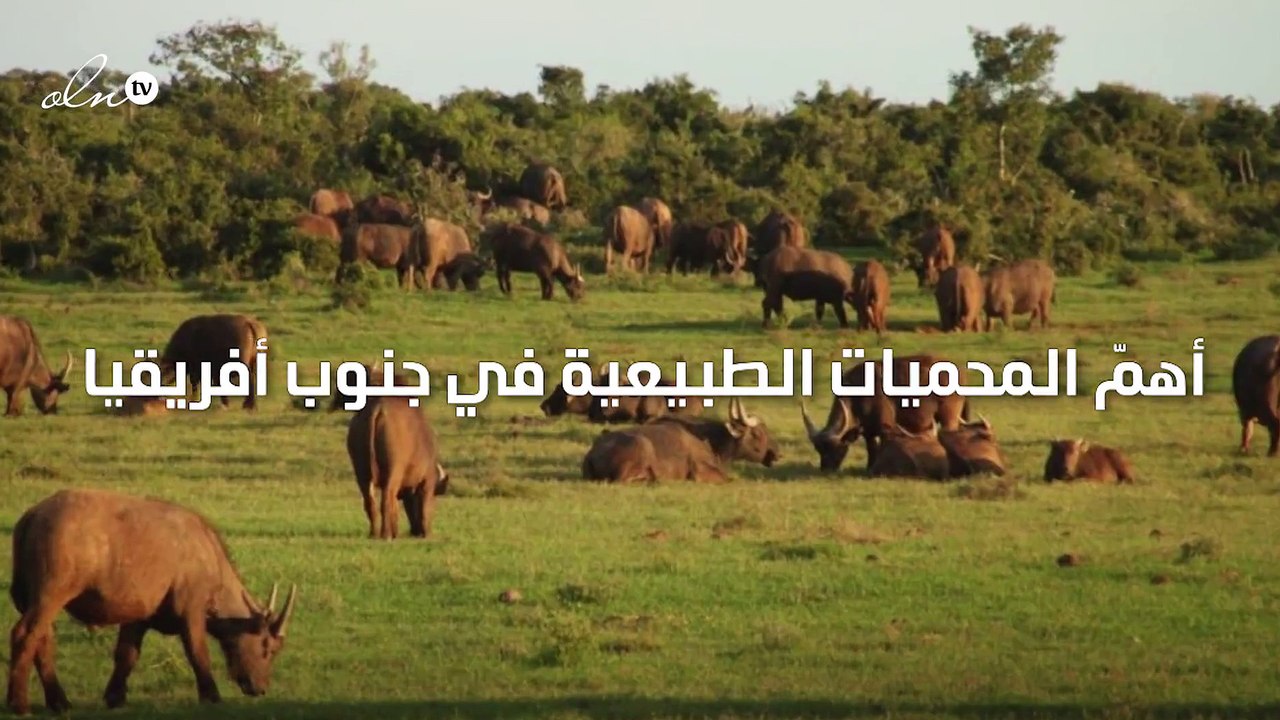 أهمّ المحميات الطبيعية في جنوب أفريقيا