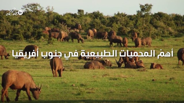 أهمّ المحميات الطبيعية في جنوب أفريقيا
