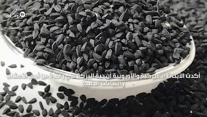 حبة البركة تقاوم الالتهاب الكبدي الفيروسي