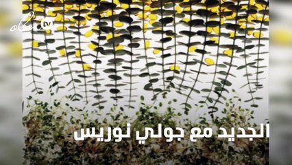 تعرفي الى مستحضر لامير الثوري الجديد مع جولي نوريس