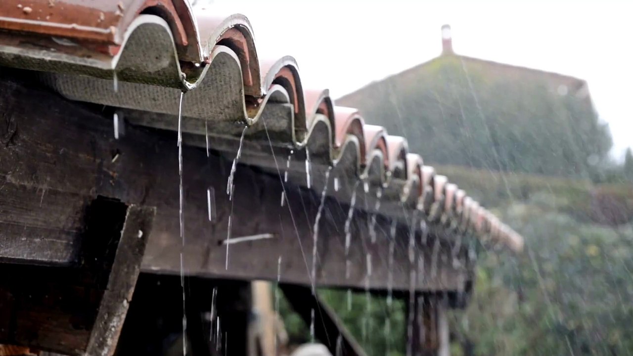 Widya Story I Storytelling