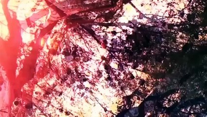 تعرّفي على منتجع C Flow السياحي