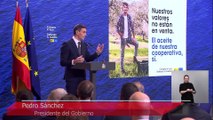 Sánchez anuncia un plan de 14.100 millones y pide apoyo a socios y oposición ante los aranceles