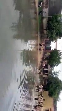मनमर्जी से जिम्मेदारों ने प्रतापसागर को बना डाला गंदे नाले का तालाब