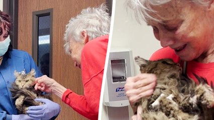Elderly Woman Reunited With Cat Lost During LA Wildfires